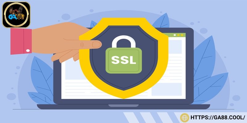 Hệ thống trang bị công nghệ SSL