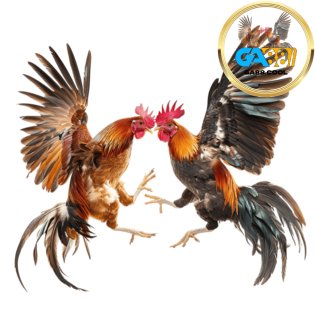 đá gà tại ga88