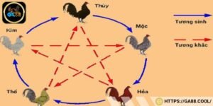 Màu mạng gà đá là khái niệm dùng để chỉ màu sắc tổng thể chiến kê