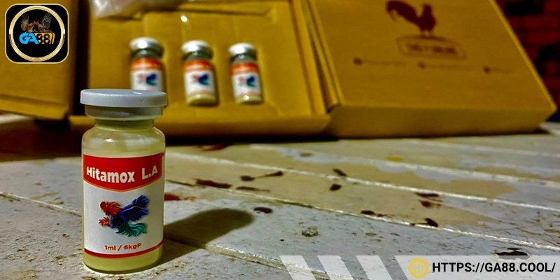 Thuốc cho gà đá gần như là bắt buộc