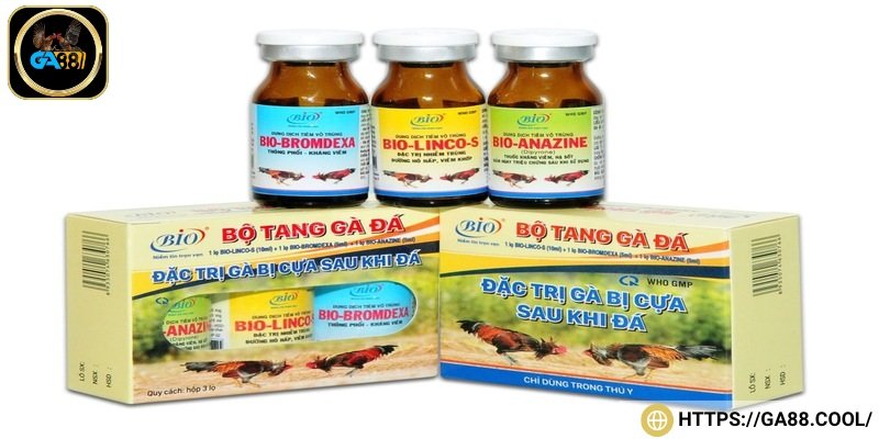 Thuốc kháng viêm, sát trùng hỗ trợ hồi phục nhanh