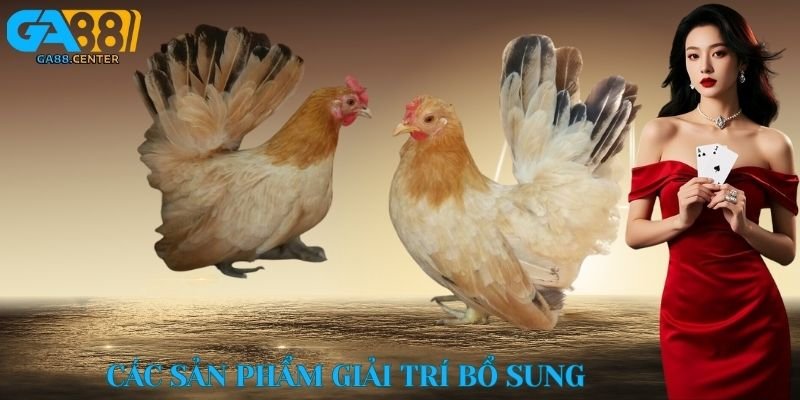 Các sản phẩm giải trí bổ sung