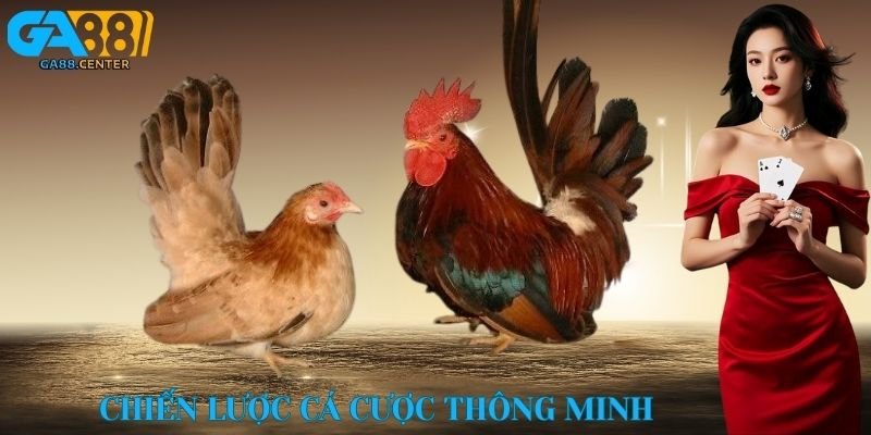 Chiến lược cá cược thông minh